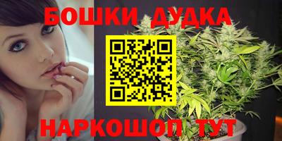 гидра Обь