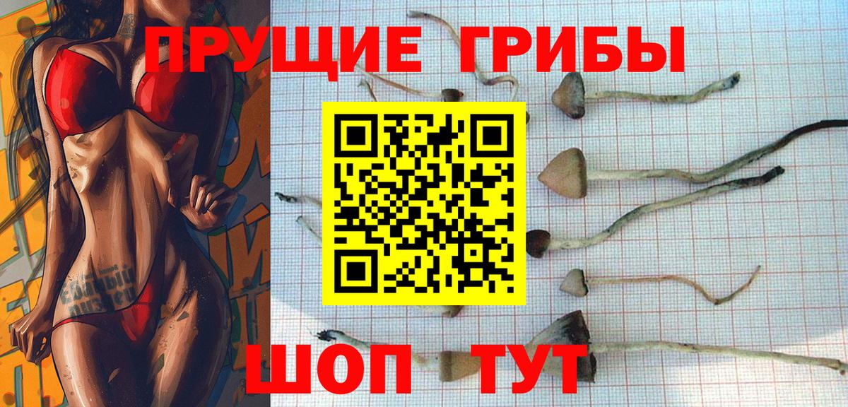 Галлюциногенные грибы GOLDEN TEACHER Сыктывкар